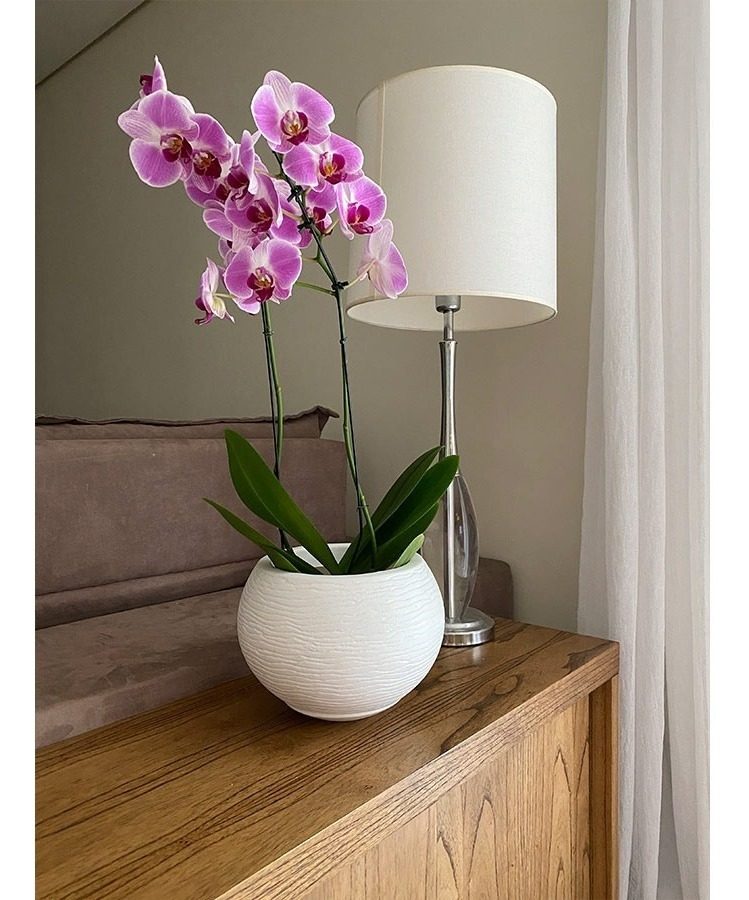 Maceta Floridis Florencia 17×19cm Blanco - 2