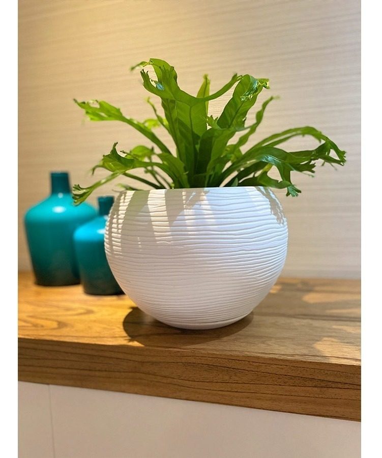 Maceta Floridis Florencia 17×19cm Blanco - 4