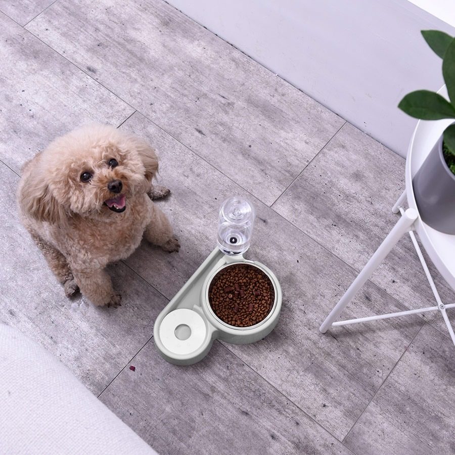 Comedero Y Bebedero Botella 500ml Automatico Perros Y Gatos Blanco - 3