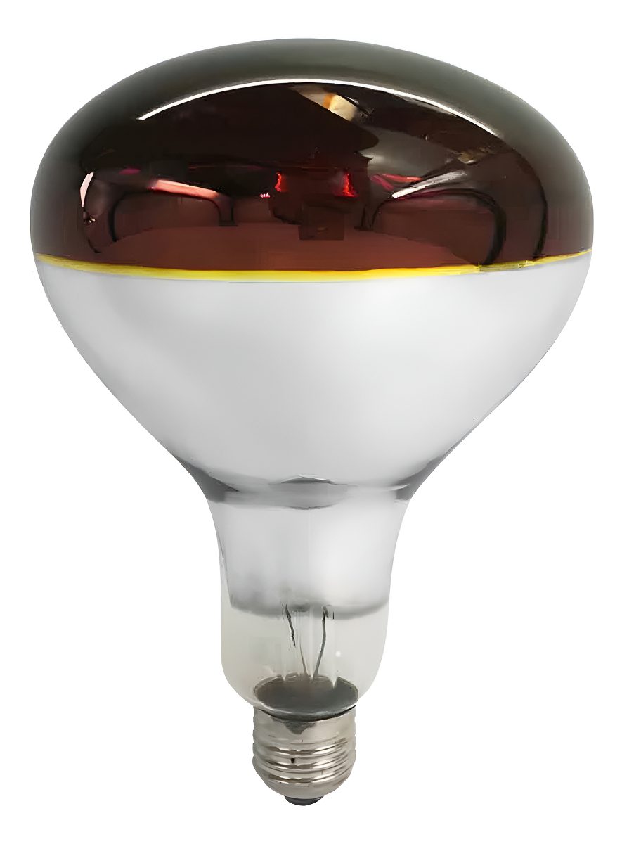 Lampara Infrarroja 250w E27 Kinesiología Calor Criaderos Color De La Luz Infrarrojo