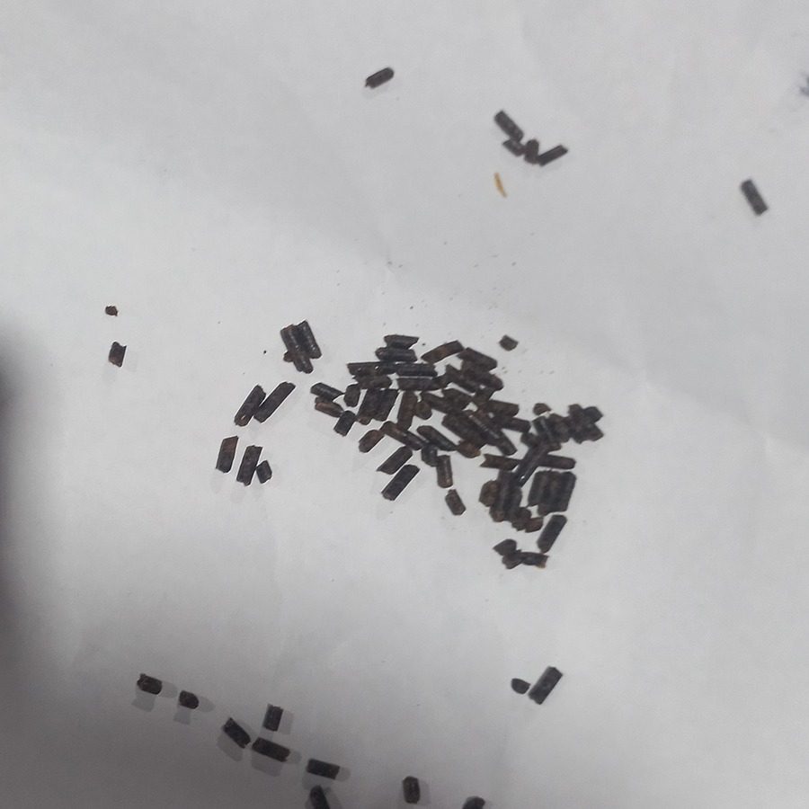 Cebo Hormigas Formixs 100g - 1