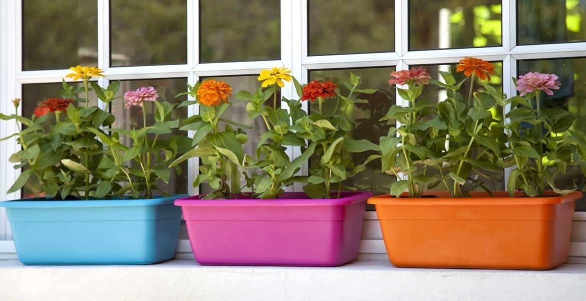 Maceta Plastica Jardinera D/color 20cm X 7cm Beruplast X Und Varios Jardinera - 5