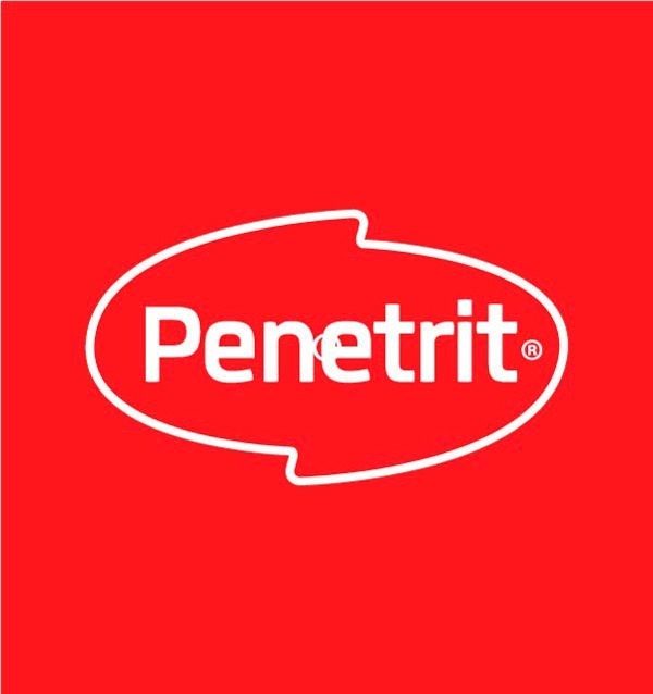 Polish Revividor Negro Para Autos Penetrit 500cm3 - 1